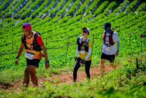 BIB: 9425, 1937
                            <button type="button" onclick="openModal(19163670)" class="btn btn-primary btn-sm float-right btn-popup" data-toggle="modal" data-target=".modal-high-quality">
                        <i class="fas fa-shopping-cart"></i> Add to Cart
                    </button>
                                            <button type="button" onclick="isThisMe(19163670, true)" class="btn btn-success btn-sm float-right btn-popup btn-isme hidden" data-toggle="tooltip" data-placement="bottom" title="นี่คือรูปของคุณใช่ไหม คลิกที่นี่เพื่อเอาเข้าอัลบั้ม">
                        <i class="fas fa-plus"></i> Add to album
                    </button>
                    <button type="button" onclick="isThisMe(19163670, false)" class="btn btn-warning btn-sm float-right btn-popup btn-isnotme hidden">
                        <i class="fas fa-ban"></i> Remove from album
                    </button>